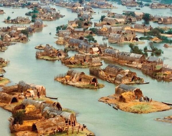 Mesopotamian Marshes Iraq